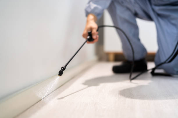 Licensed Termite Control service in Jennings, LA - Nex Pest Control