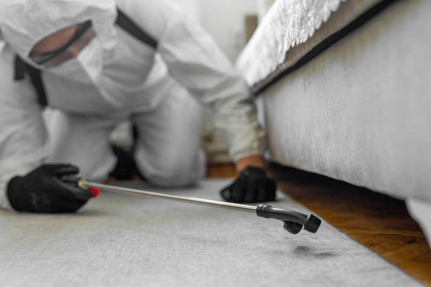Professional Termite Control technician working in Jennings, LA