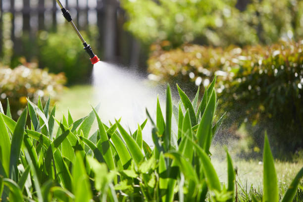 24/7 Emergency Termite Control experts in Jennings, LA