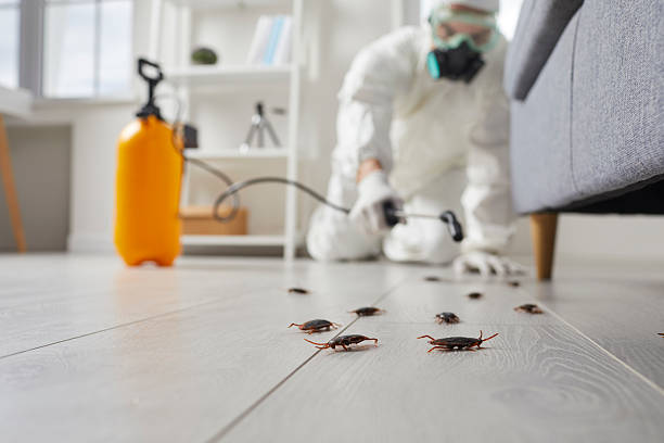 Trusted Fumigation Services service in Jennings, LA - Nex Pest Control