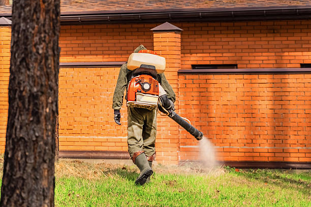 Trusted Emergency Pest Control service in Jennings, LA - Nex Pest Control